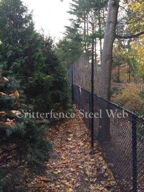 steel deer fence
