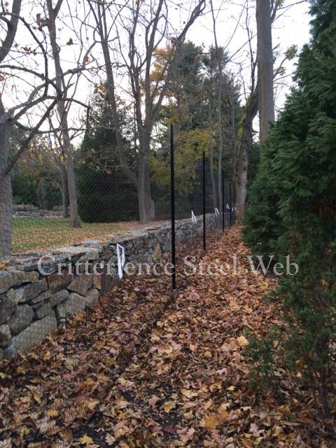 vinyl coated deer fence