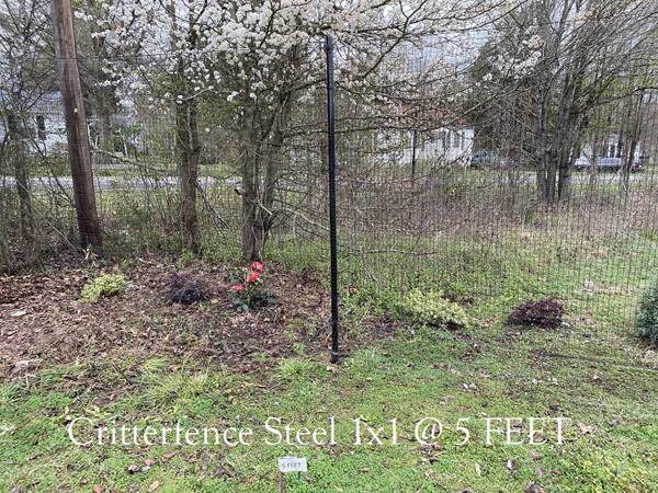 Critterfence Black Steel 1 Inch Square Grid 6 inches x 100ft CLEARANCE - 680332611206