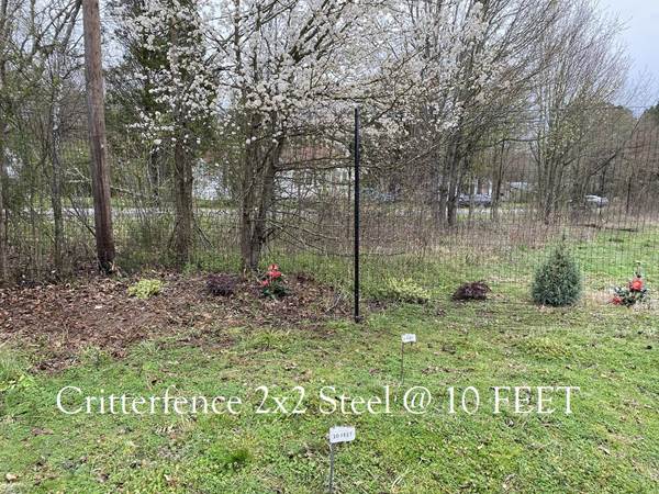 Critterfence Black Steel 2 Inch Square Grid 8 x 100 - 685248513590